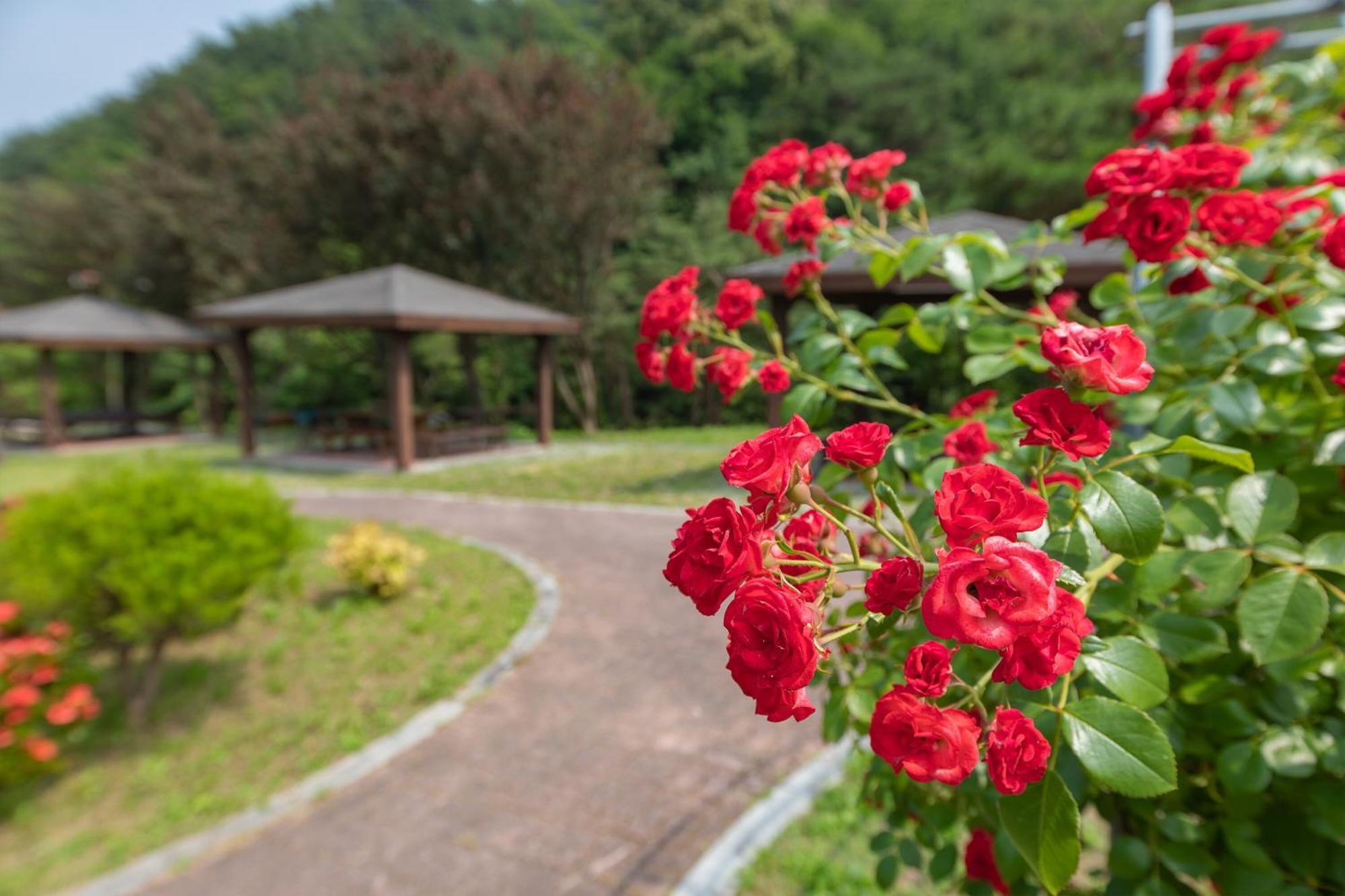 ホテル Gangneung Yasaenghwa Maeul エクステリア 写真